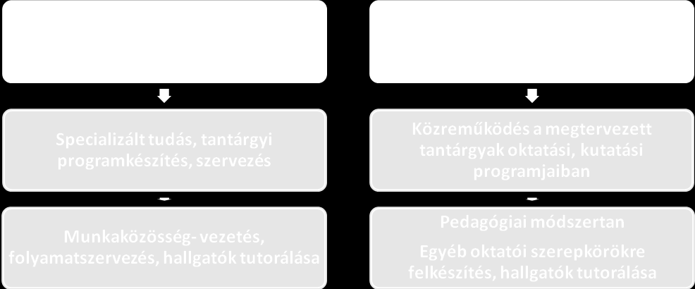 Mindegyik személyi csoport számára kötelező a folyamatos és/vagy időközönkénti pedagógiai-módszertani, szaknyelvi (idegen nyelvi) képzés.