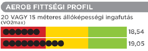 NETFIT program hatékony és helyes alkalmazása Mire lehet használni?