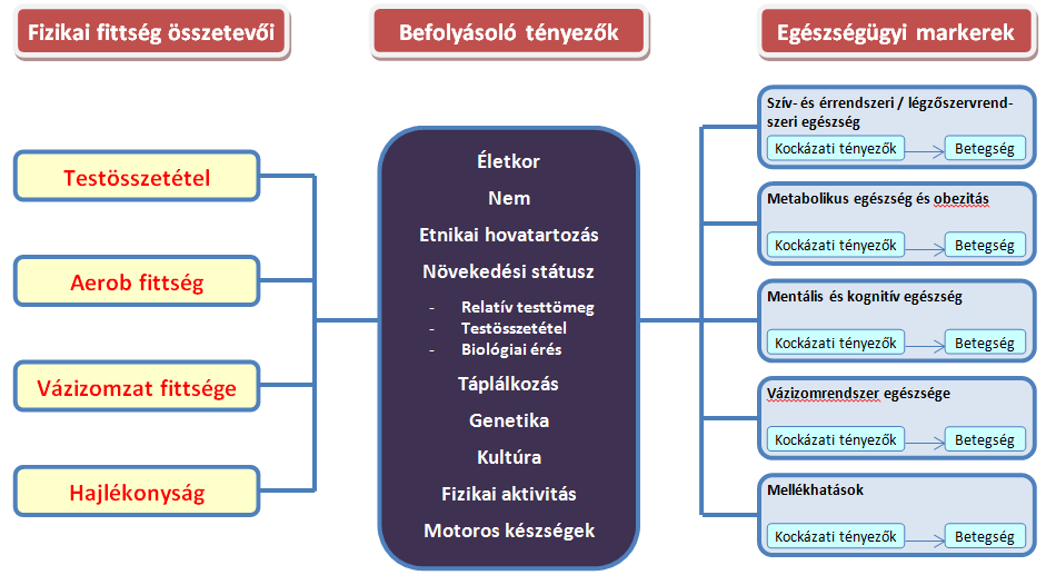 Javaslatok a NETFIT-hez kapcsolódó oktatási feladatokhoz