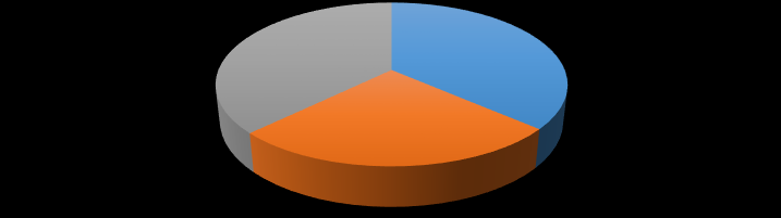 Kapott-e valamilyen helyi díjat, kitüntetést? 240; 29% 407; 50% 176; 21% igen nem nem tudom 4. ábra Kapott-e valamilyen helyi díjat, kitüntetést?