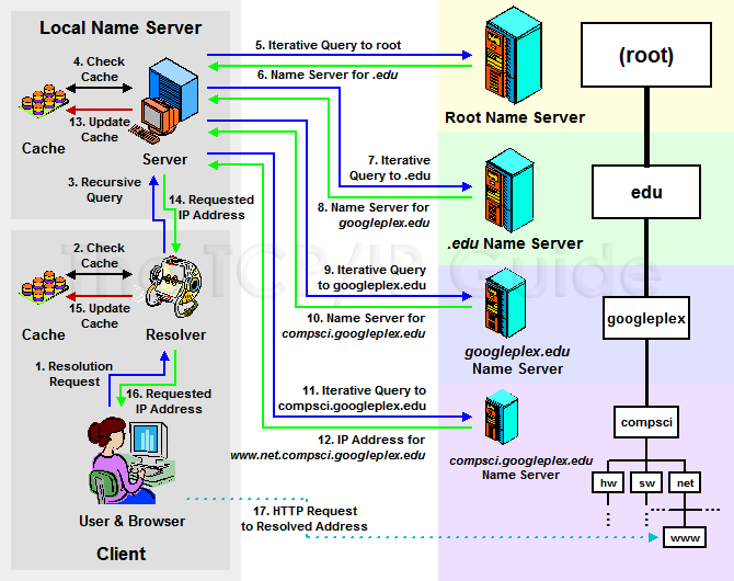 DNS