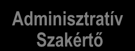 HR SZEREPEK - 'ULRICH' MODEL Jövő/Stratégiai Fókusz Stratégiai Partner Változási Ügynök Folyamatok Emberek Adminisztratív Szakértő Érdekegyeztető Napi/működési Fókusz A HR Tükör Kutatás felépítése I.