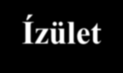 Idiopátiás inflammatórikus myopathiák Izomgyulladás Fáj Gyengeséggel, Gyulladásos jelenségekkel jár Izom Vázizomzat légzőizmok is!