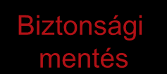 Belső szakértelem rendelkezésre állása Méretgazdaságosság-Biztonság Az outsourcing mértéke Hálózat Biztonsági mentés Alkalmazások Desktopok Tárolók Internetbank Szerverek Az outsourcingban rejlő