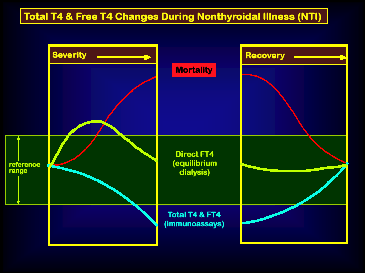 Totál T4 és ft4 változások Nonthyroidal illness-ben: Equilibrium Dializis Rutin ft4 szintek között Az