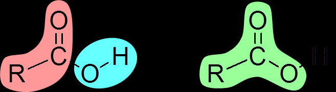 656 Kémiai alapok Szénhidrogénből: például nagy szénatomszámú alkánokból erélyes oxidációval zsírsavak elegye keletkezik.