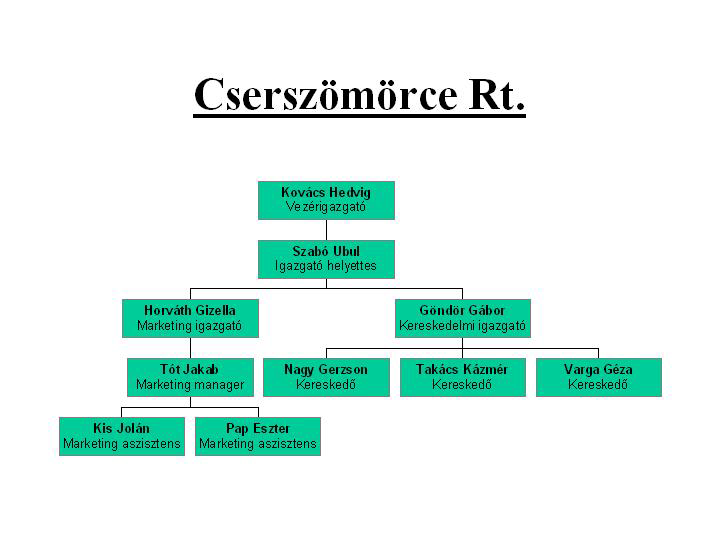 Feladatok 23. FELADAT A SZERVEZETI DIAGRAM BESZÚRÁSA, A SZERVEZETI DIAGRAM FORMÁZÁSA A PowerPoint program segítségével készítse el az alábbi szervezeti diagramot! 24.
