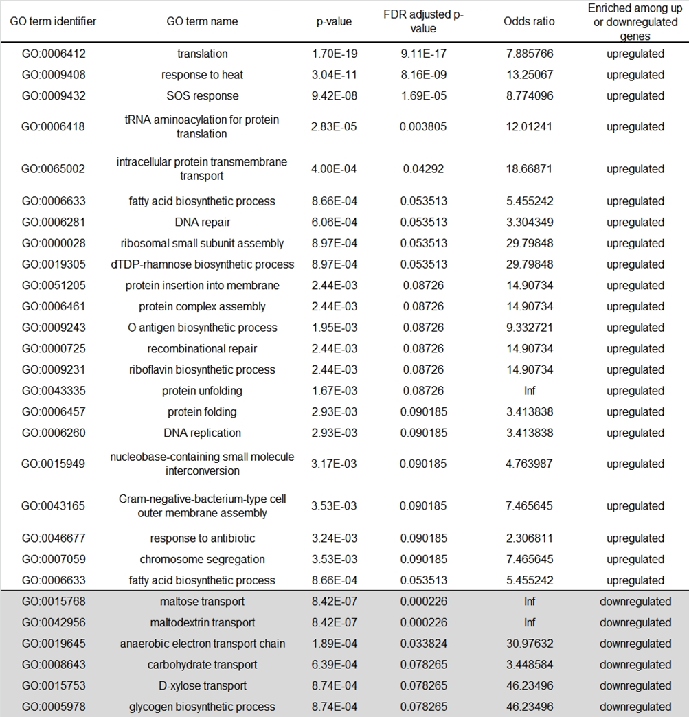 Csak azok a gén-ontológiai (GO) folyamatok vannak bemutatva, amelyek szignifikáns feldúsulást mutattak 10%-os hibás találati ráta (false discovery rate (FDR)) mellett végzett többszörös tesztelési