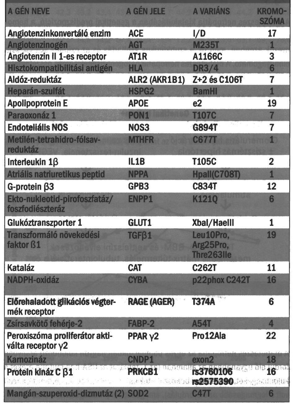 A diabeteses nephropathia szempontjából fontos génpolimorfizmusok