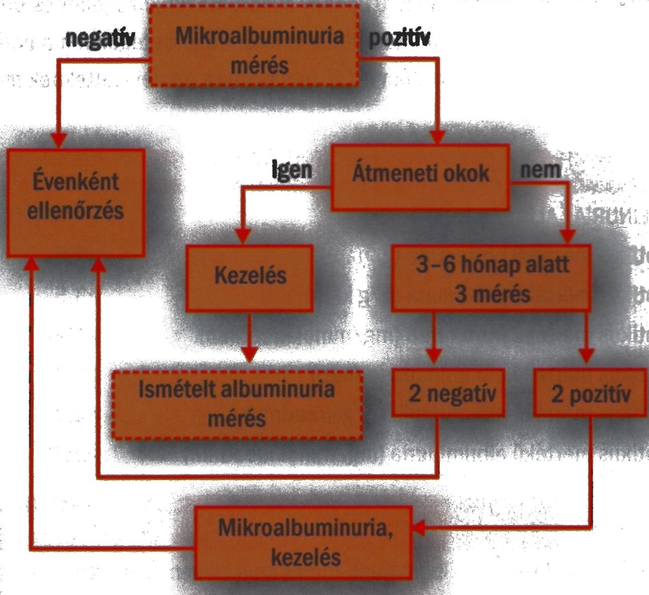 A microalbuminuria szűrésének folyamatábrája Wittmann István: Cukorbetegség okozta vesebetegségek, Budapest, 2011 Mikor: 1-es típus a diagnózis
