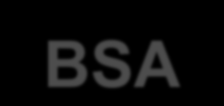 BSA Magyarország Európában az elsők között, 1983-ban helyezte szerzői jogvédelem alá a számítógép programokat. Hazánkban 1994-ben alakult meg a BSA magyarországi szervezete.