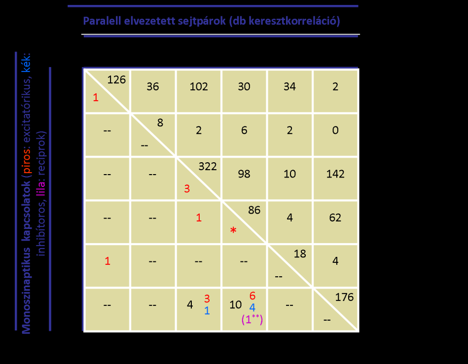 A DpMe-ből és a PnO-ból elvezetett principális jellegű és a PnO óriás sejtnek tulajdonított eap-kat (PnO g) azonban számos esetben sikerült regisztrálnunk az alvás-ébrenlét ciklus folyamán, melyekből