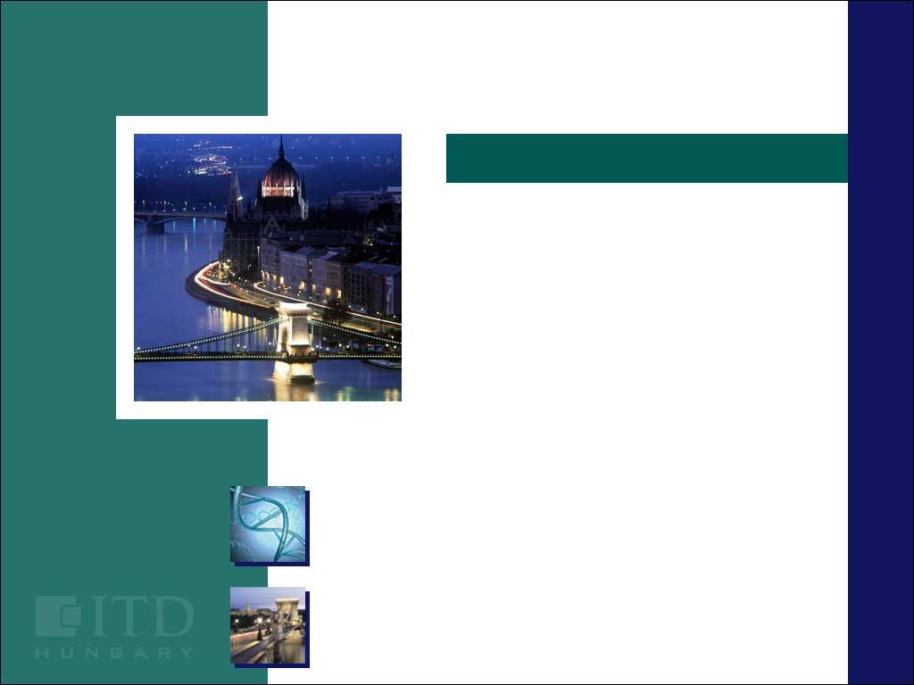 Az ITD Hungary befektetésösztönzési