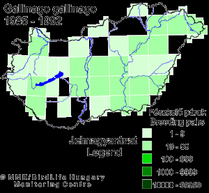 Elterjedés - állományhelyzet Elterjedésének déli határa Franciaország, Szlovénia, Horvátország és Magyarország; Magyarországon elszórtan költ (650-1200 pár), vonuló (márciusban érkezik és novemberig