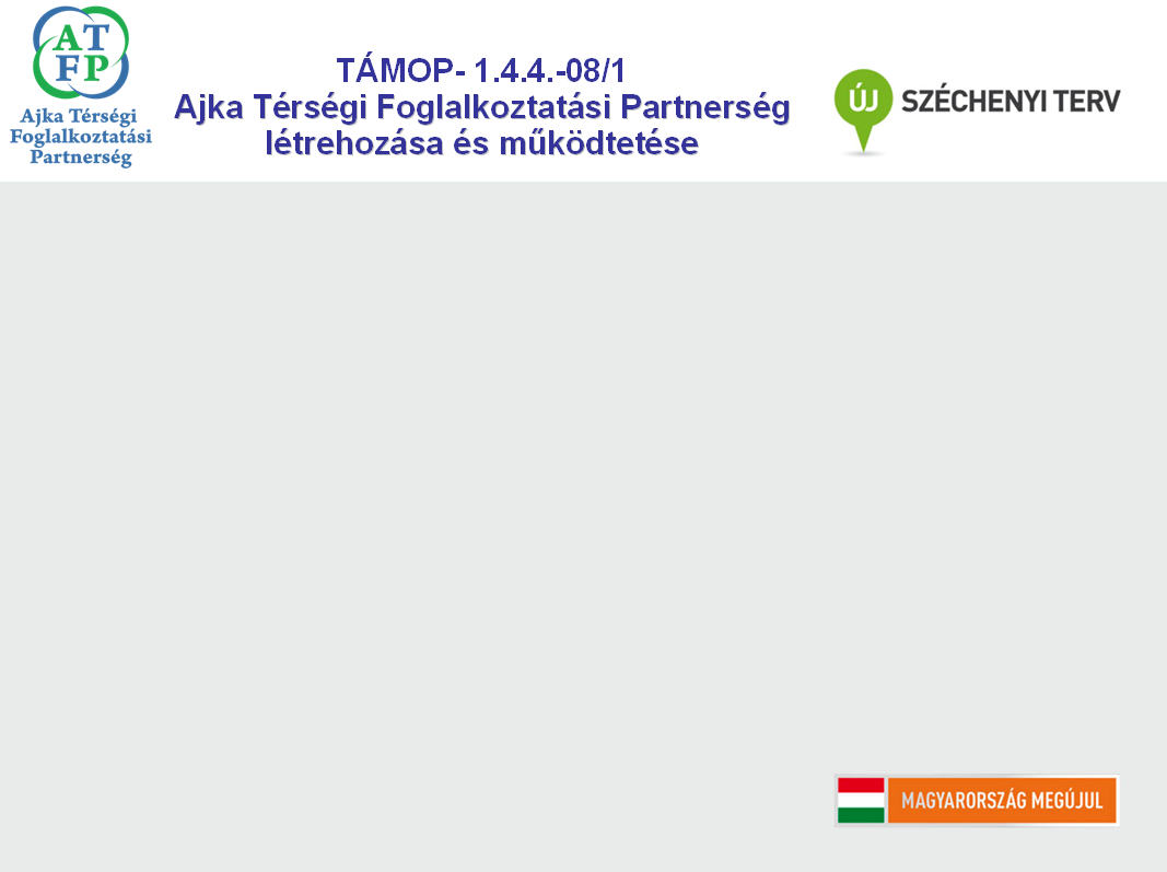Ajka TérsT rségi Foglalkoztatási Partnerség g létrehozl trehozása és mőködtetése Kedvezményezett: Új