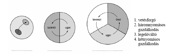 22.) A feladat a középkori mezőgazdasági élettel kapcsolatos. Oldja meg a feladatokat az ábra felhasználásával! a) Írja az ábra üresen hagyott helyeire a megfelelő sorszámot!