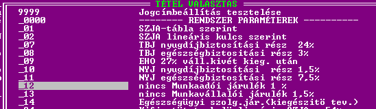 3.) A beállítás egyszerű volt, mert a kifizetett összeg után 30 % volt a közteher. II. Mezőgazdasági idénymunka 1.) Jogcíme: 0623, a _12 EFJ alapja itt a kifizetett összeg 100 %-a III.