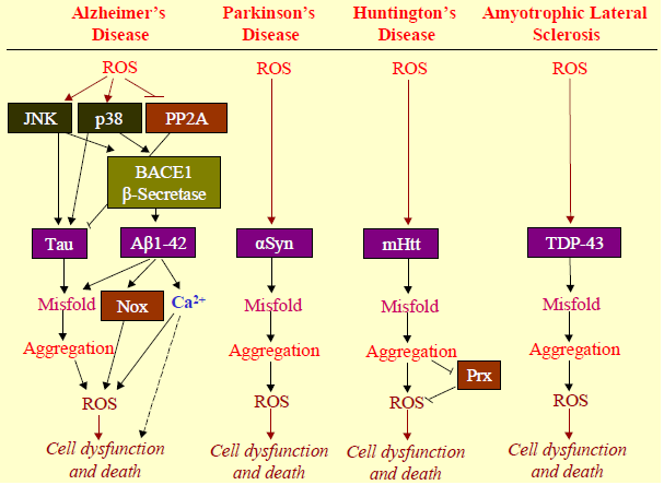 http://www.mdpi.com/1422-0067/14/12/24438 J. Li, Wuliji O, W. Li, Z.-G. Jiang and H. A.