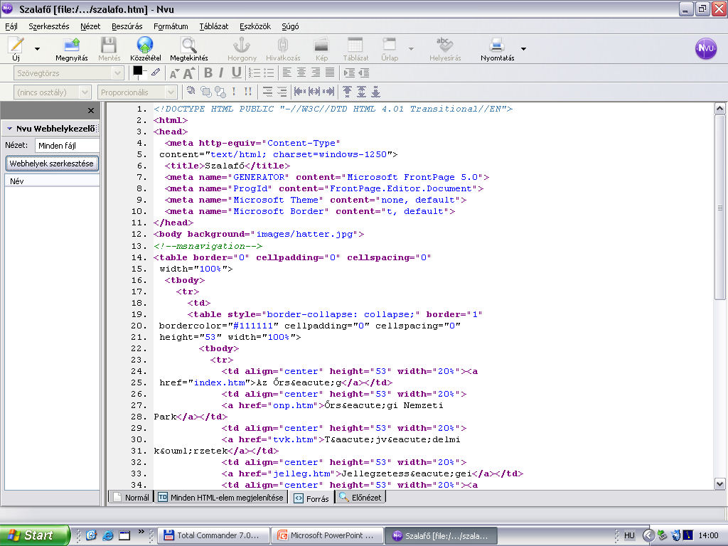 A Forrás nézetben az oldal HTML kódját láthatjuk és szerkeszthetjük.