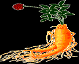 Lepidilina B (imidazol) macamidok - telítetlen zsírsavak és amidjaik macaene pl..p. ginseng C.A.