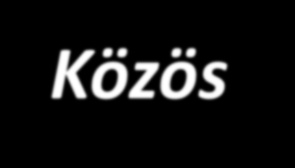 Közös örömök,intelmek Szaktárcák költésben érdekeltek, még a nem létező előirányzatokat is elköltik Erőviszonyok határozzák meg hogy a Kormányban a tárcákon mit lehet átnyomni Reform először mindig