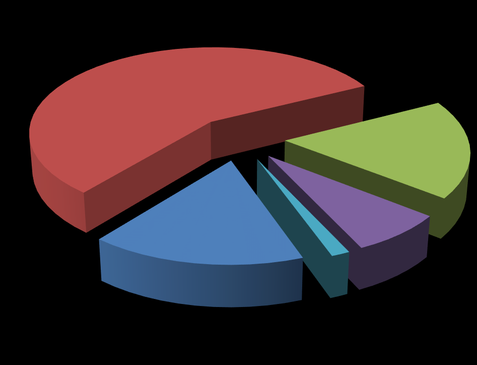 2014. évi előirányzat JÓLÉTI FUNKCIÓK 58% GAZDASÁGI FUNKCIÓK 17% ÁLLAMI MŰKÖDÉSI FUNKCIÓK 15% FUNKCIÓBA NEM SOROLHATÓ TÉTELEK 2% ÁLLAMADÓSSÁ G-KEZELÉS 8%