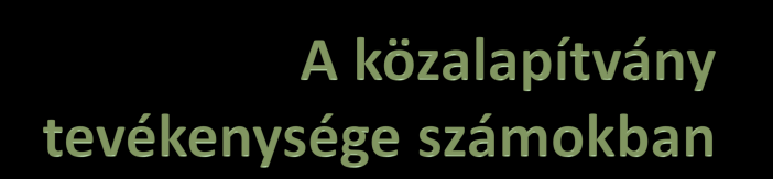 13. dia