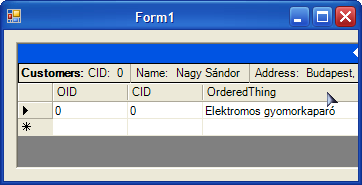 321 Ajunk hozzá a formhoz egy DataGrid et (ha nincs ott a ToolBox ban, akkor jobb klikk valamelyik szimpatikus fülön és Choose Items, majd keressük ki a vezérlőt).