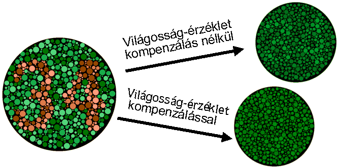 meg. (1. ábra) Ezen esetek korrekciójára eredményesen alkalmazható a tesztábrákat alkotó színingerek előzetes világosság-érzéklet egyeztetése.