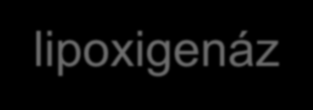 NSAID okozta angiooedema Arachidonsav 5-lipoxigenáz LT-A4 NSAID PG-G2 COX LT-B4 LT-C4 LT-D4