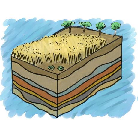 A talaj sokoldalú funkciói Talajtani információ Ökológiai: Biomassza termelés A környezet és az ember védelme Gén rezervoár Nem ökológiai: