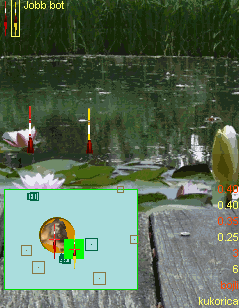 Funkcionális képernyőképek Ugyancsak a horgászhely, de mindkét botunk bedobva.