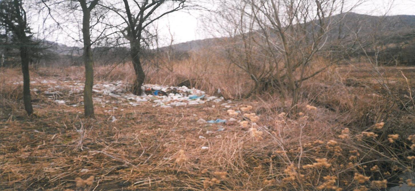 1994 előtt nem volt