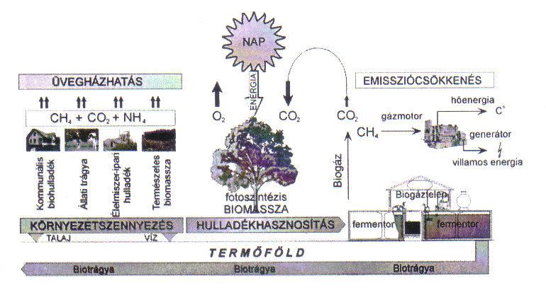 A biológiai hulladékot fermentációs eljárás során biogáz előállításához használják fel, A biogázt energiatermelésben használják, A visszamaradó biotrágya a mgazd.