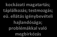 11. ábra: Egynapos szürkehályog műtétet végző intézményekhez légvonalban számított távolság egyenlőtlensége, 2008 Fig.