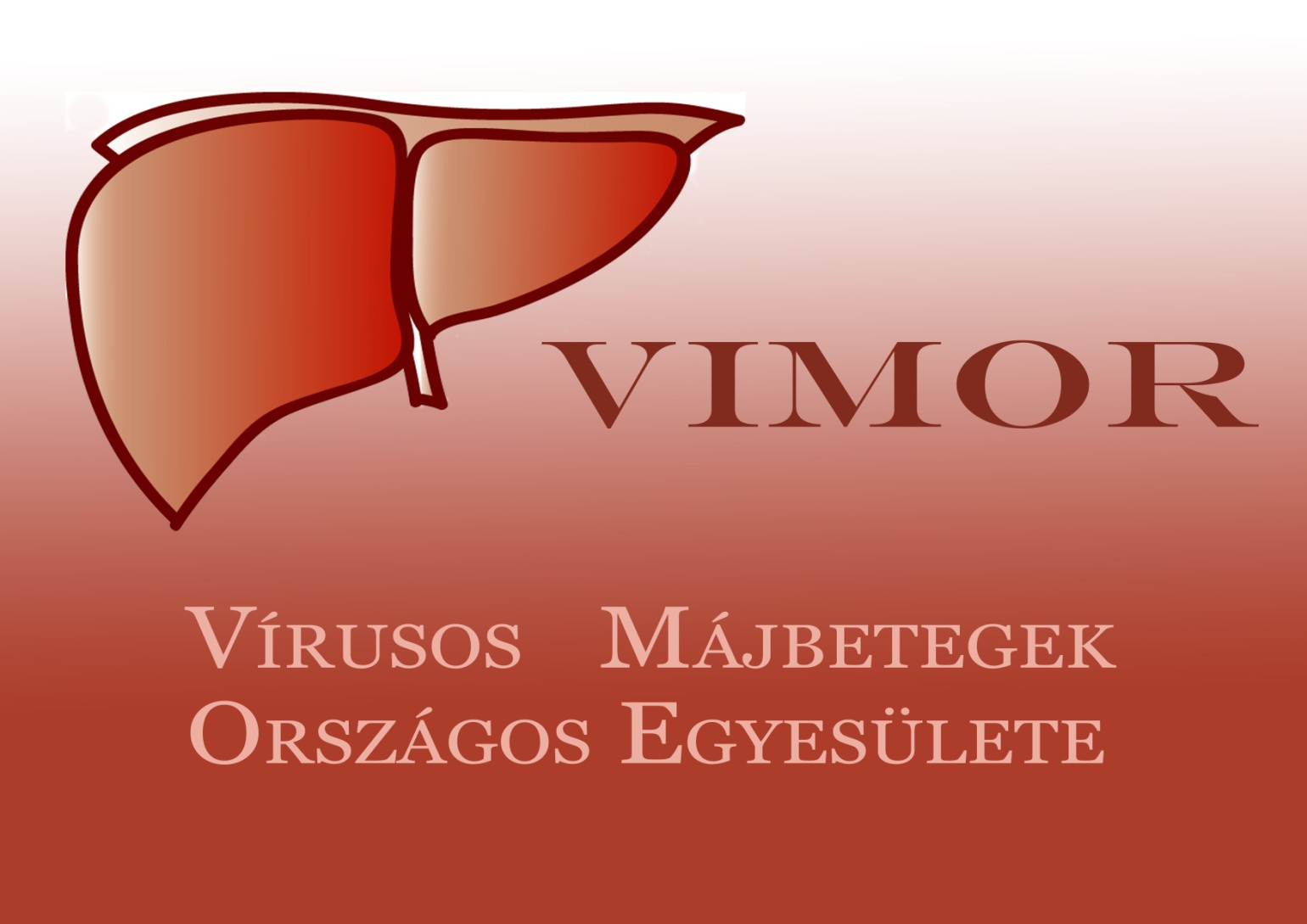 www.vimor.