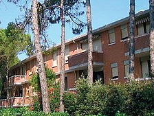 206 - Appartamenti Splendid e Salisburgo (Bibione) Üdülı 2 egységbıl, Bibione Pineda zöldövezeti részén, közel a centrumhoz, 200 m-re a tengertıl. Minden apartmanhoz parkoló tartozik.