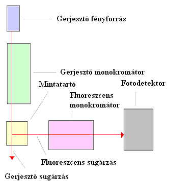 12.ábra: A fluoriméter elvi felépítése 4.3.5.Rediszpergálhatóság és stabilitás vizsgálata A stabilitásvizsgálathoz kiválasztottam egy rendszert.