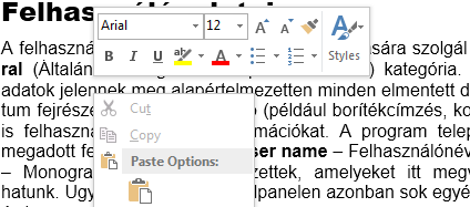 14 Környezeti beállítások kitárul. Kiválasztás után vagy az Enter billentyűt kell megnyomni, vagy duplán kattintani az egérrel a kijelölt mezőn.