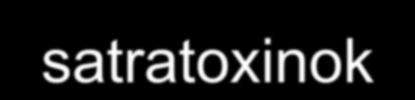 Legjellemzőbb mikotoxinok szántóföldi penészek: aflatoxin ochratoxin A, B citrinin