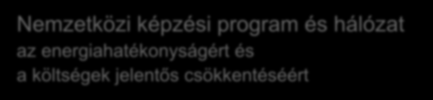 Nemzetközi képzési program és hálózat az