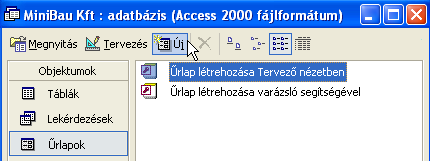 A d a t b á z i s k e z e l é s (Microsoft Access 2002) Rögzítsük a többi rekordot is!