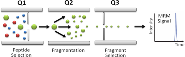 Multiple reaction monitoring (MRM)