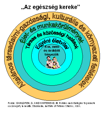 29. ábra Az egészségi állapotot meghatározó tényezők! 27% % 9% 43% Életmód Környezeti hatások Genetikai tényezők Egészségügyi ellátórendszer 30.