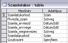 (A még érvényes sorok érvényességének igazi vége általában még ismeretlen. Ilyenkor egy nagyon nagy dátum, 4000.12.31. áll a Szamla_ervvege mezıben.