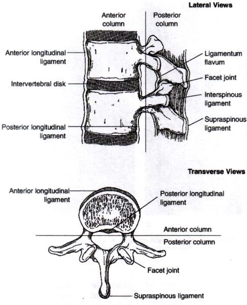 pathomorphologiai következmény F. Magerl, M. Aebi and S.D. Gertzbein et al.