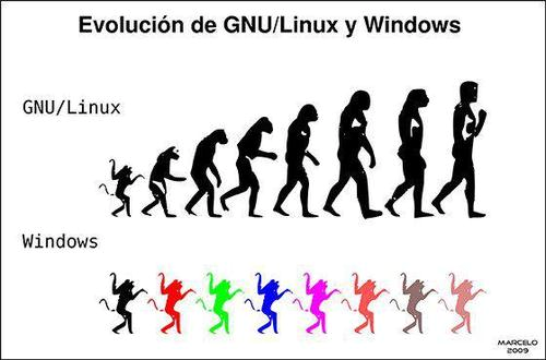 Tendenciák az informatikában A nyílt forráskódú LINUX terjedése Linuxot nem kell komolyan venni Oda kell rá figyelni Következő Windows már lesz olyan jó.