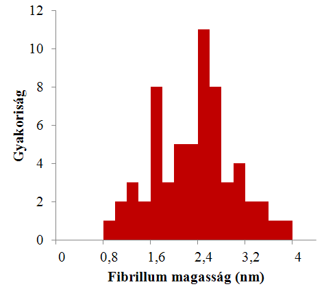 átlagos fibrillum magasság 2,41 nm (±0,09 nm SEM, n=513) volt a kontroll esetében (16. ábra alapján) és 2,64 nm (±0,14 nm SEM, n = 60) az LPFFD-kezelt hálózatnál.
