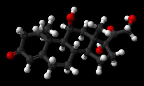 2.) Mellékvesekéreg hormonjai (adrenocortex hormonok legalább 28 fajta) memo: a mellékvesekéregben termelődnek a glüko- és mineralokortikoszetroideok, a mellékvesevelőben termelődik a katekolaminok