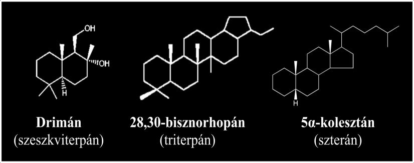 11. ábra. Néhány - gázolajmintában előforduló - petróleum biomarker. A biomarker vegyületek kvalitatív azonosításán alapuló kémiai ujjlenyomat módszerek rendkívül megbízható eredményeket nyújtanak.